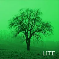 Deciduous Trees 2.0 icon