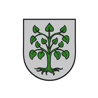 Schutterwald icon