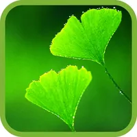MOWER Pro icon