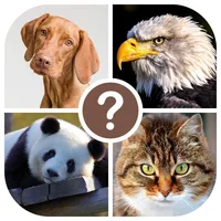 Animals quiz: guess the animal icon