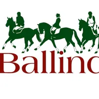 Ballindenisk icon
