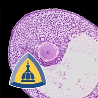 Ovarian Tumor Pathology icon