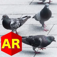 Anywhere Pigeon AR icon