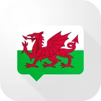 Welsh Verb Blitz icon