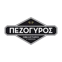 ΠΕΖΟΓΥΡΟΣ icon