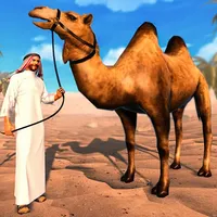 Camel Life Survival Simulator icon