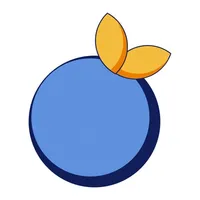 Blue Orange Companion icon