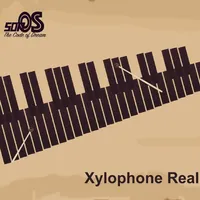 Xylophone Real: 2 mallet types icon