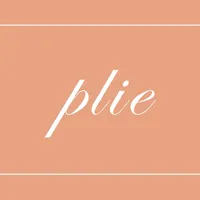 플리에 plie icon