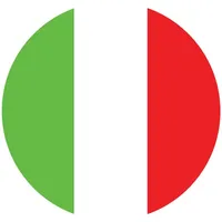 VFS Italy icon