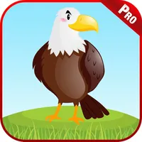 Birds Animal Sounds Kids Games icon