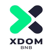 XDOM - Remote Key B&B icon