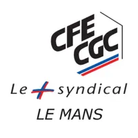 CFE CGC REN MANS icon