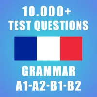 French Grammar Test icon