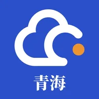 青海公务用车易新版 icon