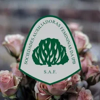 CNSAFs icon