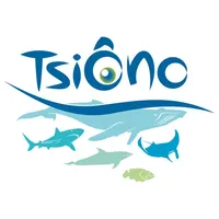 TsiÔno icon