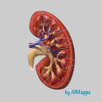 Creatinine (AIMapps) icon