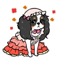 Adorable Cavalier Dog Sticker icon