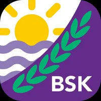 BSK Parent icon