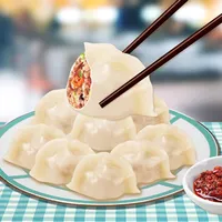 Dumplings Maker Game icon