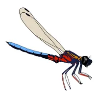 Dragonfly SA icon