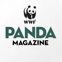 Panda Magazine icon