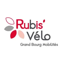 Rubis vélo libre service icon