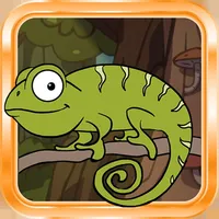 Camaleon App icon