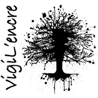 Vigilencre icon