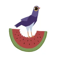 Trash Doves Summer icon