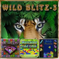 Wild Blitz 3 - Puzzle Games icon