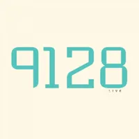 9128 icon