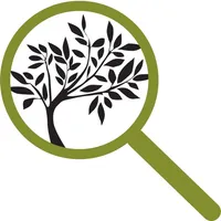 Olive Observer icon