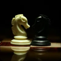 Chess -Real Master icon