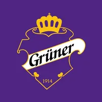 Grüner Ishockey icon