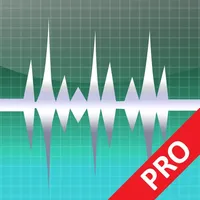 WavePad Professionale 2022 icon