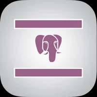 PostgreSqlProg2 - PostgreSql icon