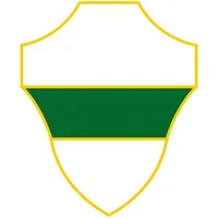 Elche Fan icon