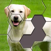 Hexa Jigsaw Puzzle ® icon