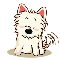 West Highland White Terrier icon