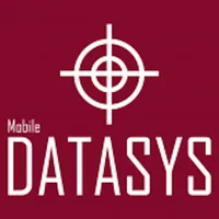 Audit DATASYS Padrão icon