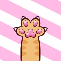 KittCat Story icon