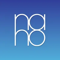 Nano Business icon