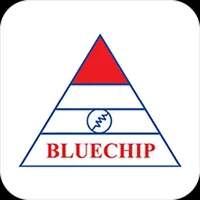 Bluechip Capital icon