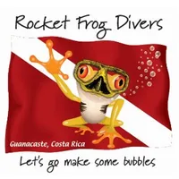 Rocket Frog Divers icon