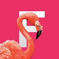 Flamingo Tropical Stickers icon