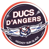 Ducs d'Angers icon