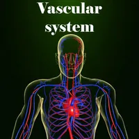 Vascular system icon