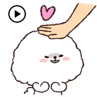 Animated Fluffy Bichon Frise icon